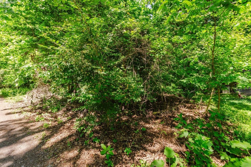 0 Decatur, Put-In-Bay, 43456, ,Land,For Sale,Decatur,20262078