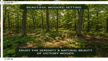 0 Decatur, Put-In-Bay, 43456, ,Land,For Sale,Decatur,20262078 0 Decatur, Put-In-Bay, 43456, ,Land,For Sale,Decatur,20262078