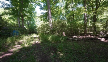 0 Decatur, Put-In-Bay, 43456, ,Land,For Sale,Decatur,20262078 0 Decatur, Put-In-Bay, 43456, ,Land,For Sale,Decatur,20262078