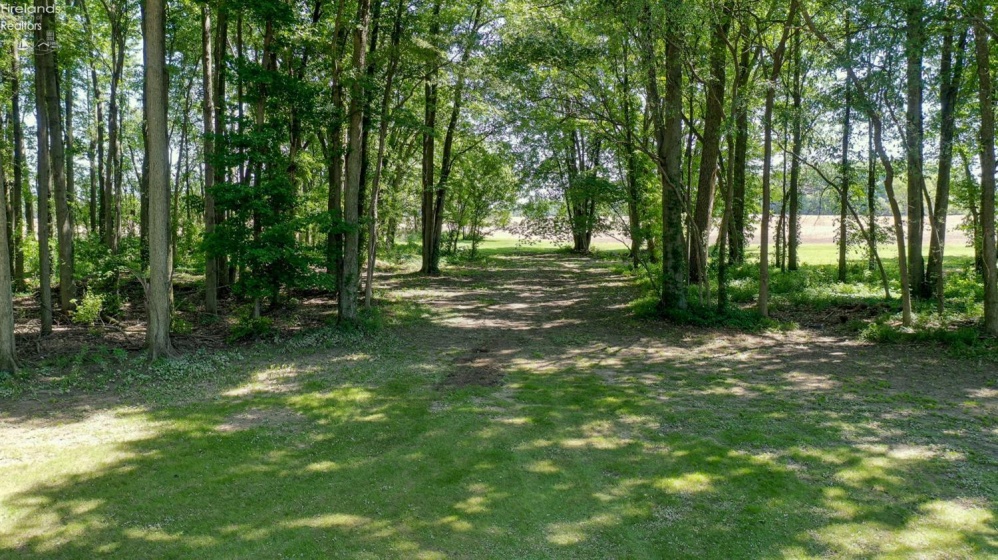 196 Greenwich East Townline Road, New London, 44851, 5 Bedrooms Bedrooms, ,3 BathroomsBathrooms,Residential,For Sale,Greenwich East Townline,20261734