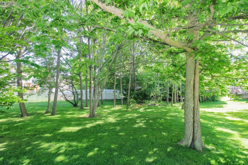 210 Spring Street, Castalia, 44824, 4 Bedrooms Bedrooms, ,3 BathroomsBathrooms,Residential,For Sale,Spring,20262052