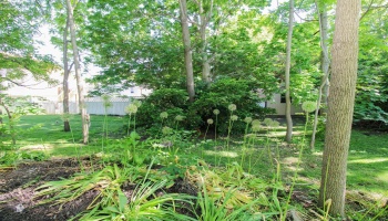210 Spring Street, Castalia, 44824, 4 Bedrooms Bedrooms, ,3 BathroomsBathrooms,Residential,For Sale,Spring,20262052
