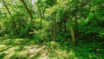 0 Elliot, Put-In-Bay, 43456, ,Land,For Sale,Elliot,20262105