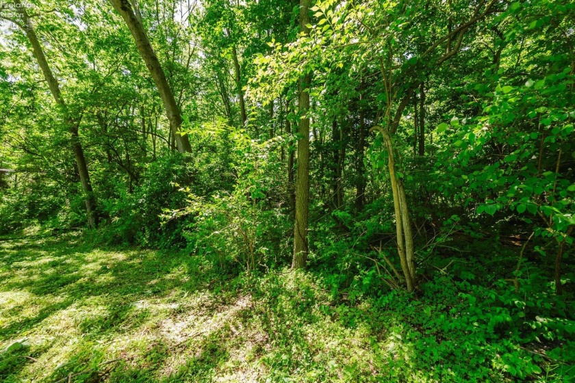 0 Elliot, Put-In-Bay, 43456, ,Land,For Sale,Elliot,20262105