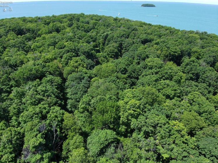 0 Elliot, Put-In-Bay, 43456, ,Land,For Sale,Elliot,20262105