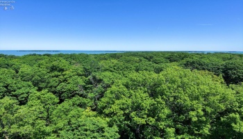 0 Elliot, Put-In-Bay, 43456, ,Land,For Sale,Elliot,20262105