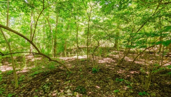 0 Elliot, Put-In-Bay, 43456, ,Land,For Sale,Elliot,20262105