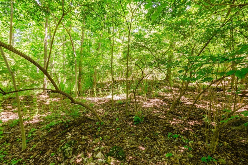 0 Elliot, Put-In-Bay, 43456, ,Land,For Sale,Elliot,20262105