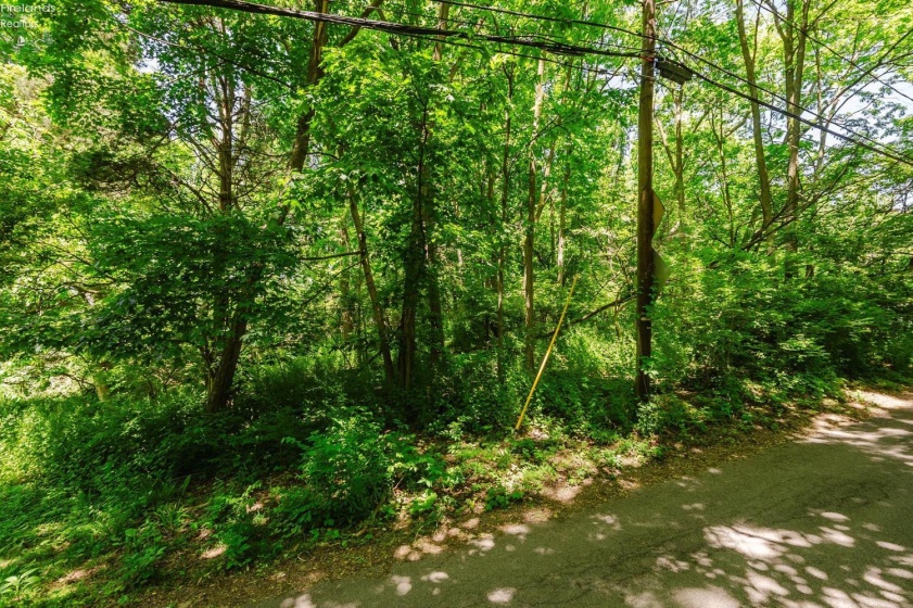 0 Elliot, Put-In-Bay, 43456, ,Land,For Sale,Elliot,20262105