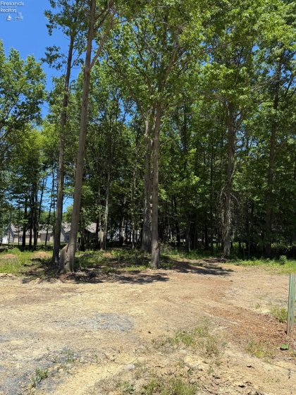 48 Breezewood Lane, Vermilion, 44089, ,Land,For Sale,Breezewood,20262142