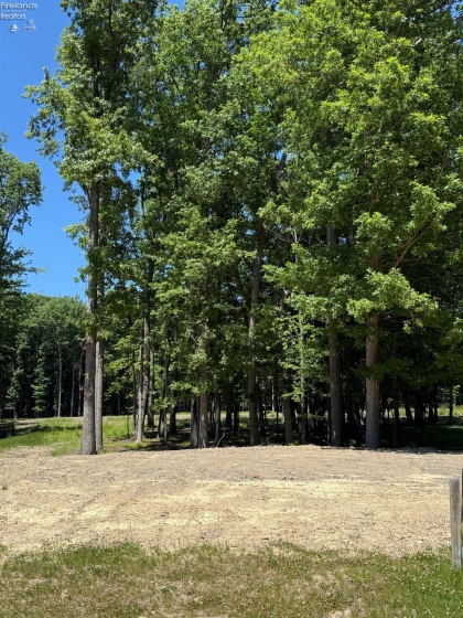1 Ridgeview Drive, Vermilion, 44089, ,Land,For Sale,Ridgeview,20262143