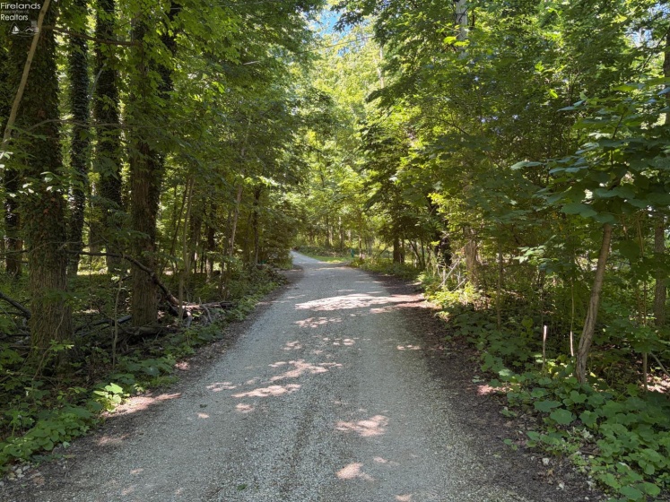 693 New Colony, Put-In-Bay, 43456, ,Land,For Sale,New Colony,20262334