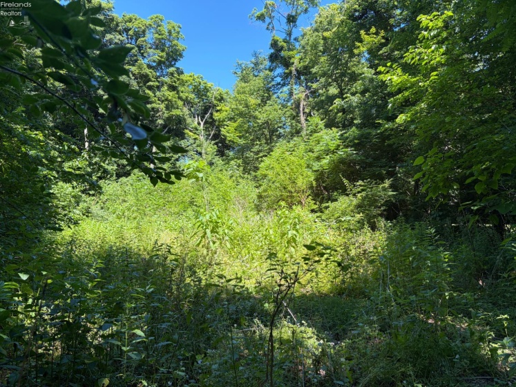 693 New Colony, Put-In-Bay, 43456, ,Land,For Sale,New Colony,20262334
