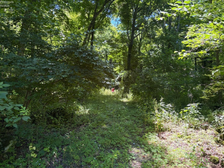 693 New Colony, Put-In-Bay, 43456, ,Land,For Sale,New Colony,20262334