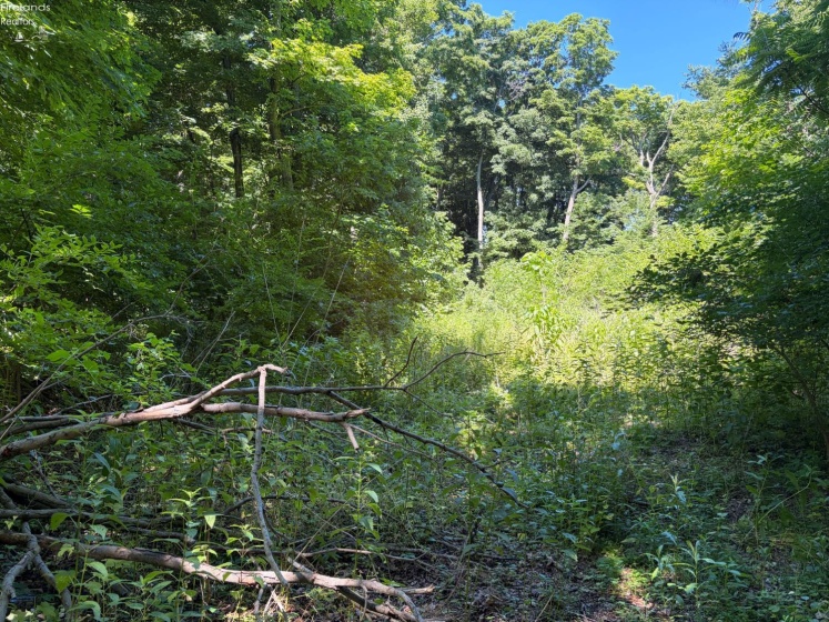 693 New Colony, Put-In-Bay, 43456, ,Land,For Sale,New Colony,20262334