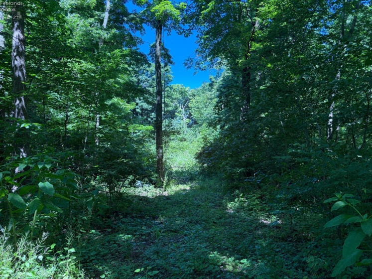 693 New Colony, Put-In-Bay, 43456, ,Land,For Sale,New Colony,20262334