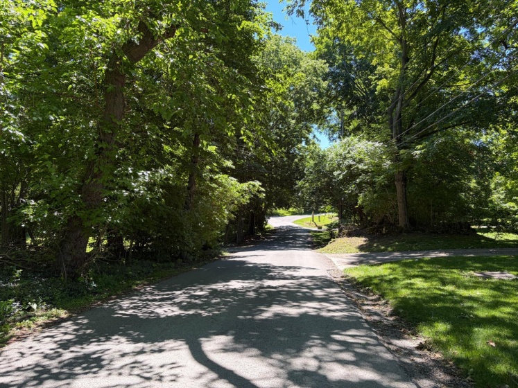693 New Colony, Put-In-Bay, 43456, ,Land,For Sale,New Colony,20262334