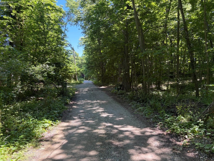 693 New Colony, Put-In-Bay, 43456, ,Land,For Sale,New Colony,20262334