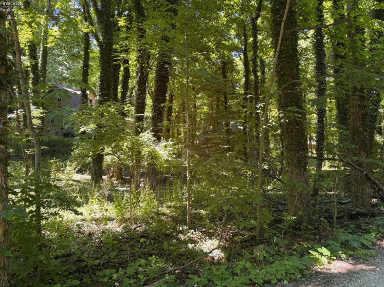 693 New Colony, Put-In-Bay, 43456, ,Land,For Sale,New Colony,20262334