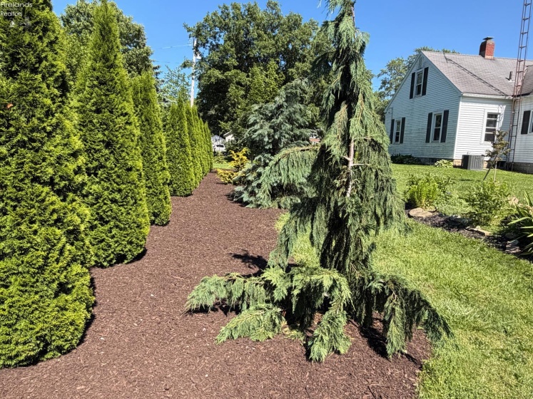 2505 Campbell Street, Sandusky, 44870, 3 Bedrooms Bedrooms, ,1 BathroomBathrooms,Residential,For Sale,Campbell,20262104