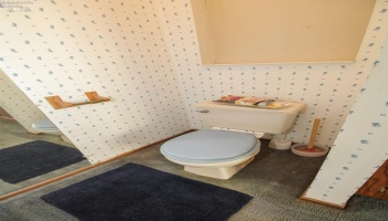 203 Depot Street, Castalia, 44824, 3 Bedrooms Bedrooms, ,2 BathroomsBathrooms,Residential,For Sale,Depot,20262381