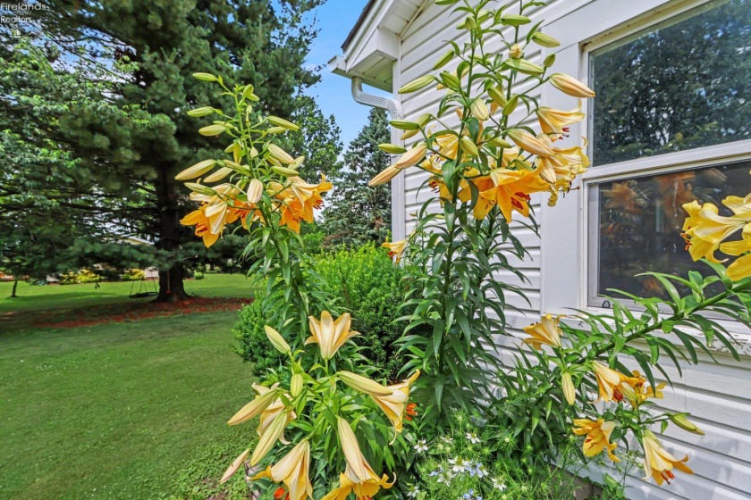 6161 State Route 61, Shelby, 44875, 2 Bedrooms Bedrooms, ,1 BathroomBathrooms,Residential,For Sale,State Route 61,20262466