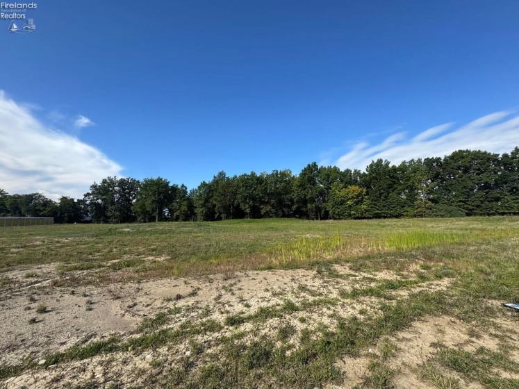 818 Theo Moll Drive, Willard, 44890, ,Land,For Sale,Theo Moll,20262490