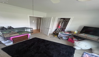 158 Sheffield Street, Bellevue, 44811, 3 Bedrooms Bedrooms, ,3 BathroomsBathrooms,Residential,For Sale,Sheffield,20262282 158 Sheffield Street, Bellevue, 44811, 3 Bedrooms Bedrooms, ,3 BathroomsBathrooms,Residential,For Sale,Sheffield,20262282