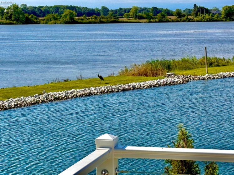 769 Harbor Road, Port Clinton, 43452, 3 Bedrooms Bedrooms, ,2 BathroomsBathrooms,Residential,For Sale,Harbor,20262533