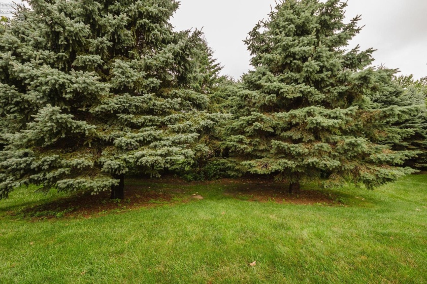 1803 Lake Forest Drive, Huron, 44870, 3 Bedrooms Bedrooms, ,2 BathroomsBathrooms,Residential,For Sale,Lake Forest Drive,20262591