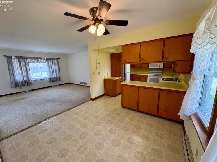 517 Buckeye Drive, Attica, 44807, 3 Bedrooms Bedrooms, ,1 BathroomBathrooms,Residential,For Sale,Buckeye,20262632