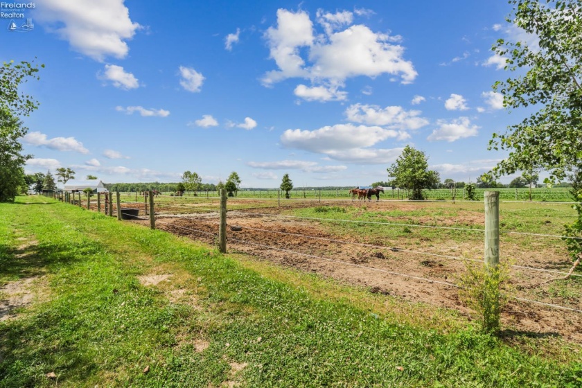 4180 State Route 20, Gibsonburg, 43431, 4 Bedrooms Bedrooms, ,1 BathroomBathrooms,Residential,For Sale,State Route 20,20262503
