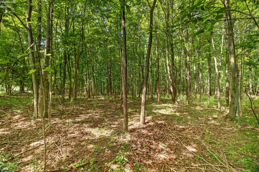 0 Brownhelm Station Road, Vermilion, 44089, ,Land,For Sale,Brownhelm Station,20262722