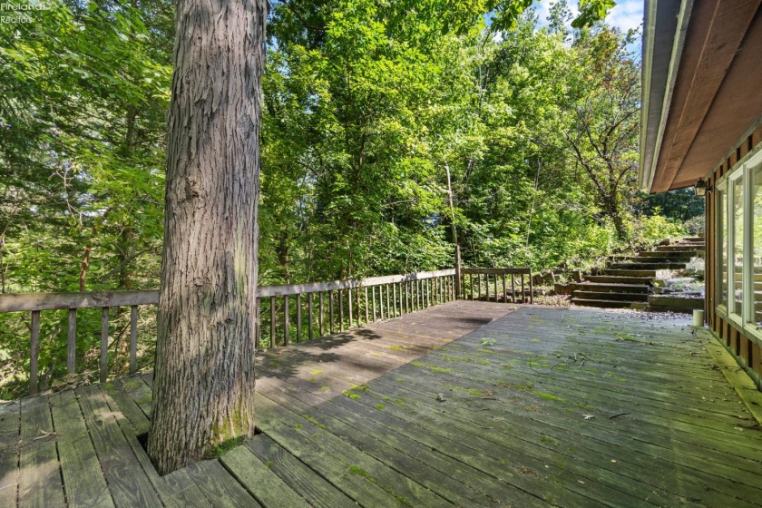 41180 Butternut Ridge Rd., Elyria, 44035, 3 Bedrooms Bedrooms, ,2 BathroomsBathrooms,Residential,For Sale,Butternut Ridge Rd.,20262709