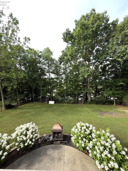 1140 Meadowview Drive, Willard, 44890, 4 Bedrooms Bedrooms, ,4 BathroomsBathrooms,Residential,For Sale,Meadowview,20262698