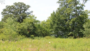 3208 Greenwich East Town Line Rd S, Greenwich, 44837, 3 Bedrooms Bedrooms, ,1 BathroomBathrooms,Residential,For Sale,Greenwich East Town Line Rd S,20262892