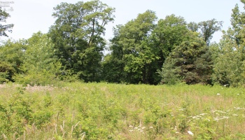 3208 Greenwich East Town Line Rd S, Greenwich, 44837, 3 Bedrooms Bedrooms, ,1 BathroomBathrooms,Residential,For Sale,Greenwich East Town Line Rd S,20262892