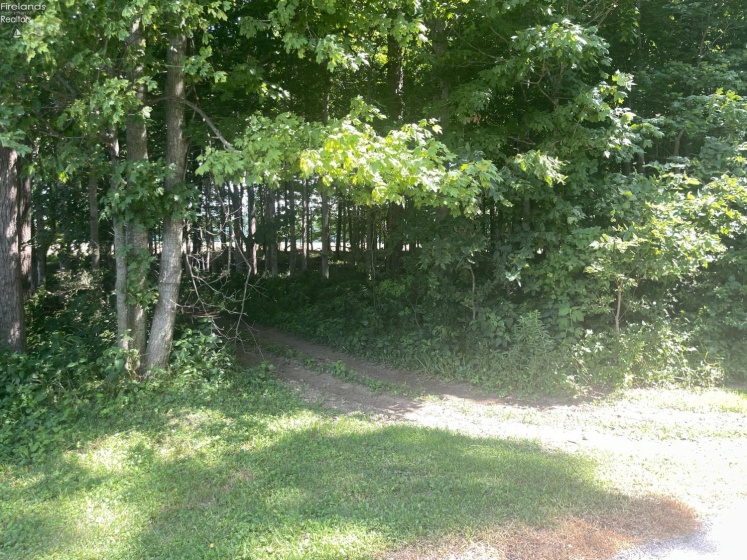 3139 State Route 53, Tiffin, 44883, 5 Bedrooms Bedrooms, ,3 BathroomsBathrooms,Residential,For Sale,State Route 53,20262910