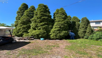 340 Worthy Street, Lakeside, 43440, 3 Bedrooms Bedrooms, ,1 BathroomBathrooms,Residential,For Sale,Worthy,20262960 340 Worthy Street, Lakeside, 43440, 3 Bedrooms Bedrooms, ,1 BathroomBathrooms,Residential,For Sale,Worthy,20262960