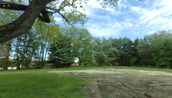2616 OH 162, Monroeville, 44847, ,Land,For Sale,OH 162,20262990