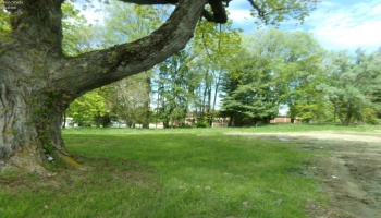 2616 OH 162, Monroeville, 44847, ,Land,For Sale,OH 162,20262990