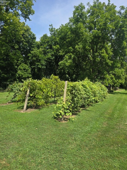 201 County Road 198, Fremont, 43420, 4 Bedrooms Bedrooms, ,2 BathroomsBathrooms,Residential,For Sale,County Road 198,20262891