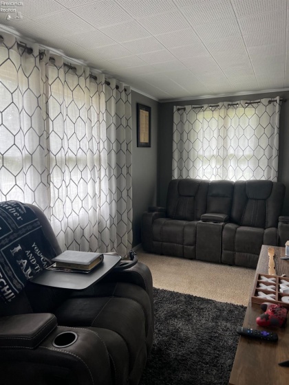 10011 State Route 101, Castalia, 44824, 3 Bedrooms Bedrooms, ,2 BathroomsBathrooms,Residential,For Sale,State Route 101,20263023