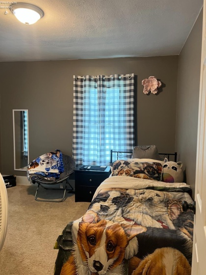 10011 State Route 101, Castalia, 44824, 3 Bedrooms Bedrooms, ,2 BathroomsBathrooms,Residential,For Sale,State Route 101,20263023