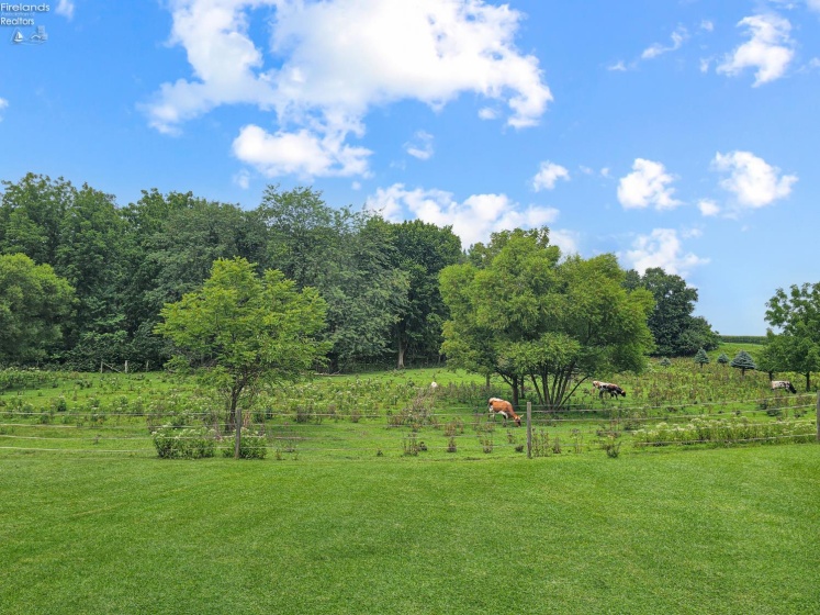 4360 County Road 183, Clyde, 43410, 4 Bedrooms Bedrooms, ,3 BathroomsBathrooms,Residential,For Sale,County Road 183,20263199