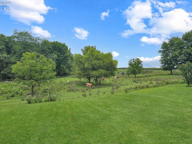 4360 County Road 183, Clyde, 43410, 4 Bedrooms Bedrooms, ,3 BathroomsBathrooms,Residential,For Sale,County Road 183,20263199