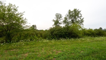 4 TR 69, Kansas, 44841, ,Land,For Sale,TR 69,20263326
