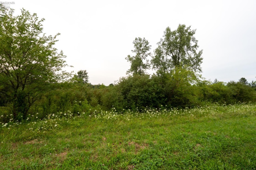 4 TR 69, Kansas, 44841, ,Land,For Sale,TR 69,20263326