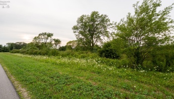 4 TR 69, Kansas, 44841, ,Land,For Sale,TR 69,20263326