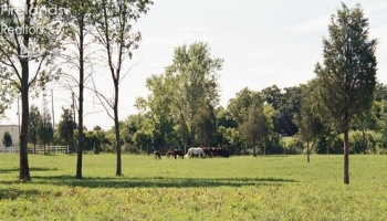 2734 Catawba Road, Port Clinton, 43452, ,Land,For Sale,Catawba,20263395